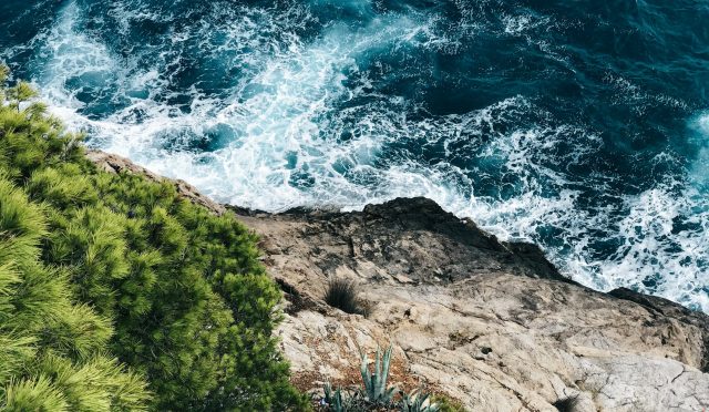 pexels-photo-1690379