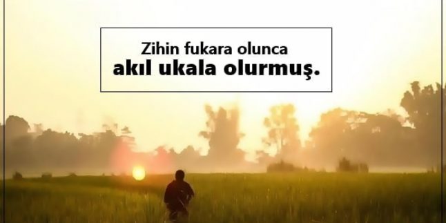 Namık Kemal Sözleri