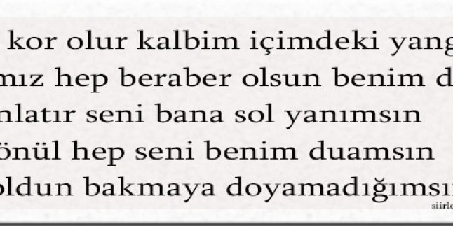 Ayşin İsmine Özel Akrostiş Şiir