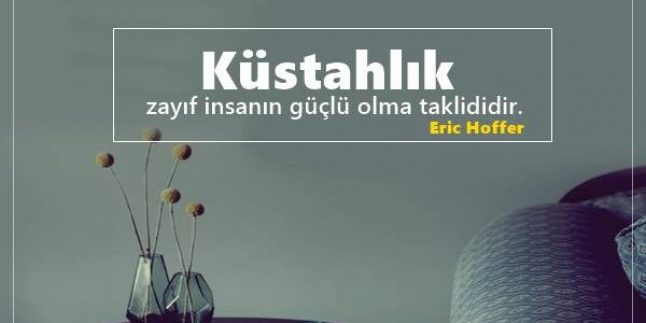 Küstahlık İle İlgili Sözler, Küstahlık Sözleri