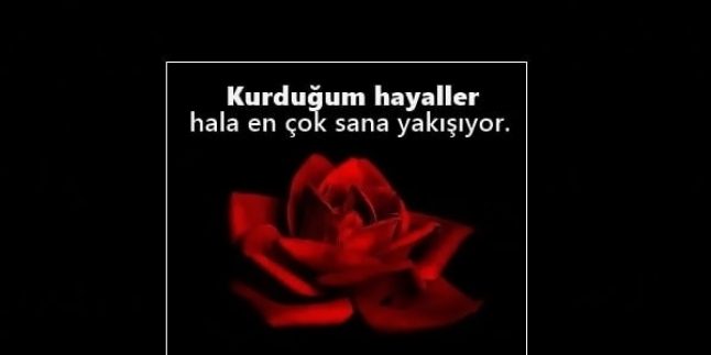 Hoş Laflar, Hoş Güzel Sözler, Hoş Yazılar