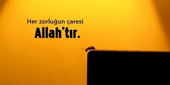 Yenilgi Sözleri, Yenilgi İle İlgili Sözler