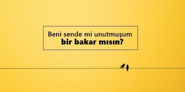 İnce Sözler, İnce Laflar, İnce Mesajlar