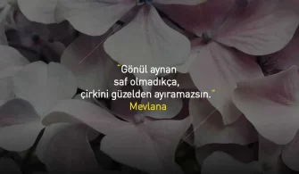 Akıllı Sözler