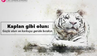 Kaplan-Ile-Ilgili-Sozler.jpg