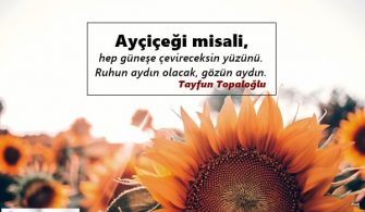 Aycicegi-Ile-Ilgili-Sozler.jpg