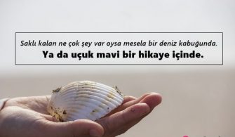 Deniz-Kabugu-Ile-Ilgili-Sozler.jpg