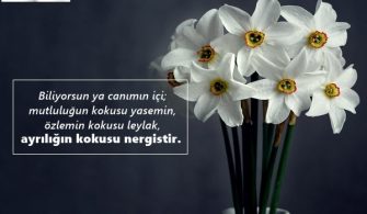 Nergis-Ile-Ilgili-Sozler.jpg
