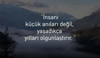 Olgunluk Sözleri