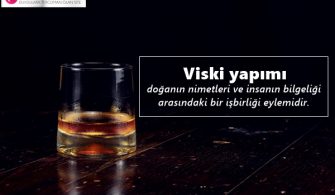 Viski-Ile-Ilgili-Sozler.jpg