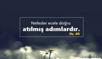 Ecel-Ile-Ilgili-Sozler.jpg
