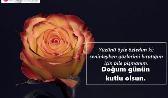 len-Sevgiliye-Dogum-Gunu-Mesajlari.jpg