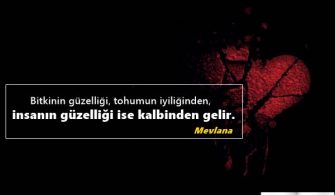 Kalp-Guzelligi-Ile-Ilgili-Sozler.jpg