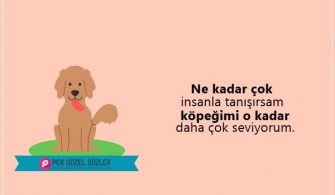 Kopeklerle-Ilgili-Sozler.jpg