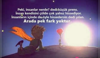 Kucuk-Prens-Sozleri.jpg
