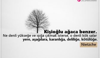 Agac-Ile-Ilgili-Sozler.jpg