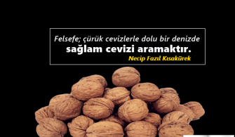Ceviz-Ile-Ilgili-Sozler.png