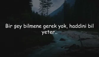 Ağır Sözler