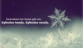 Kar-Taneleri-Ile-Ilgili-Sozler.jpg